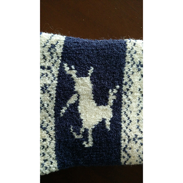 Cabin Socks